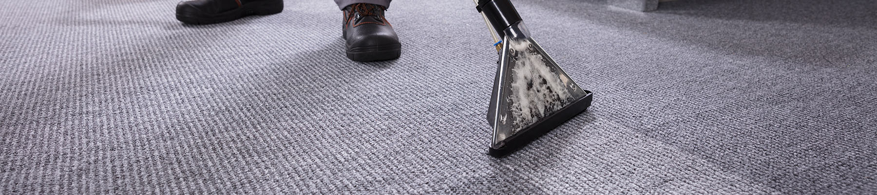 Professional Carpet Cleaning in Florida - Green Clean